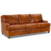 Leather Sofa Sleeper