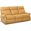 Reclining Leather Couch