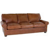 Brown Leather Couch